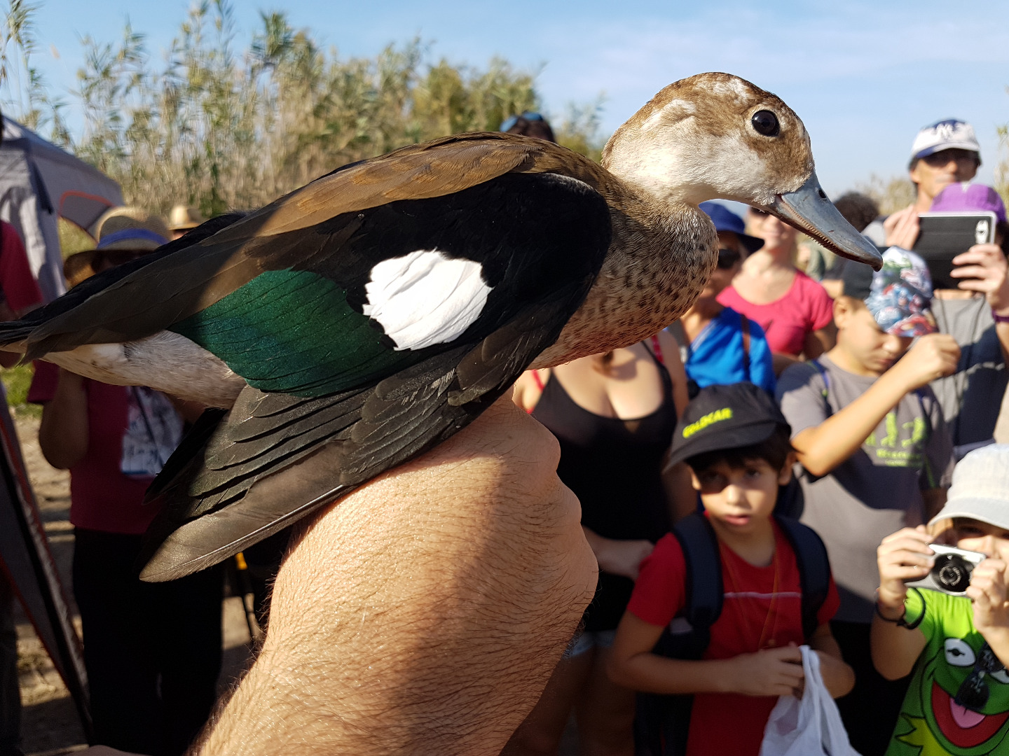 Éxito de participación en las jornadas ornitológicas para celebrar el Día Mundial de las aves 