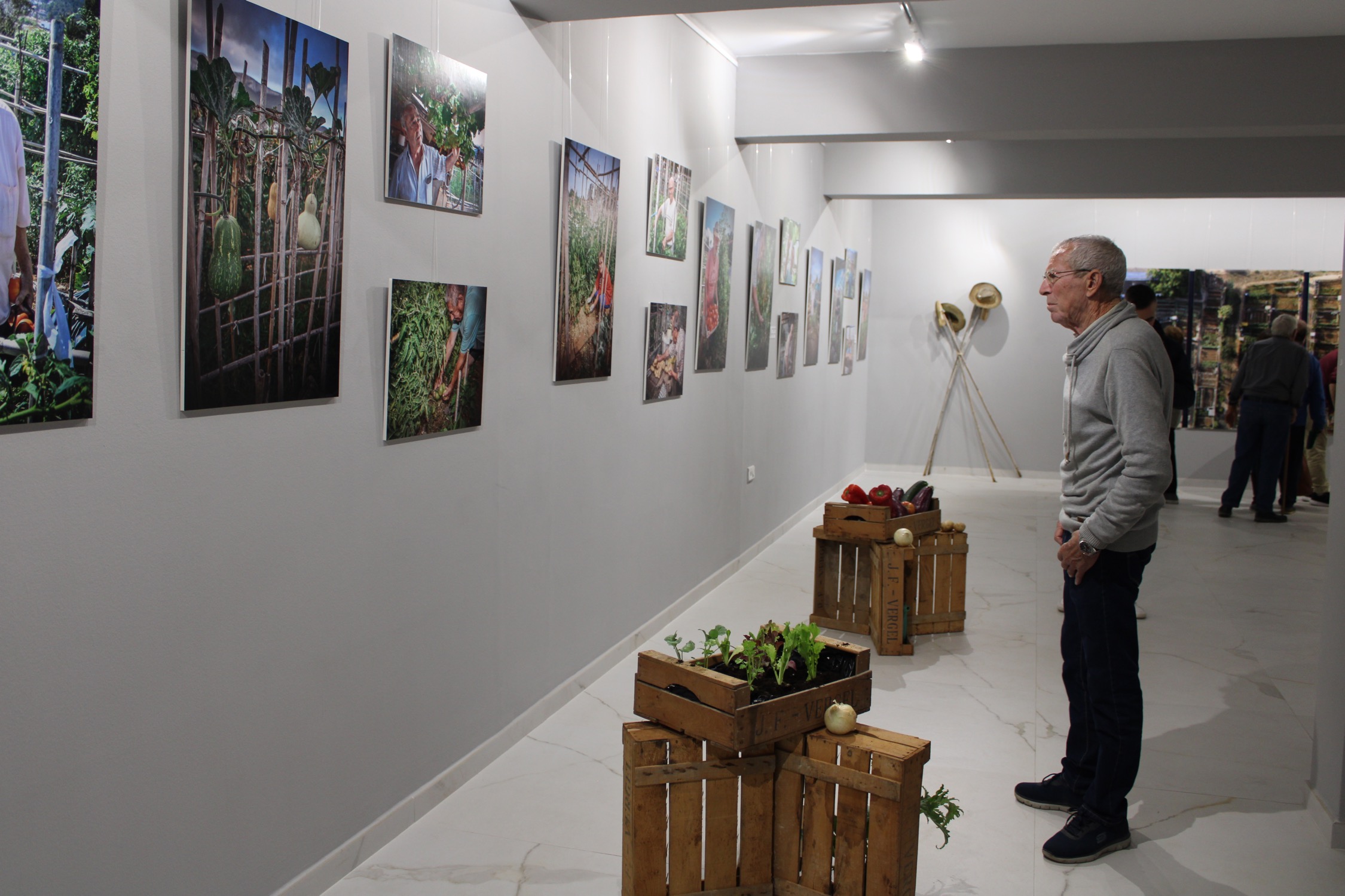 La Regidoria de Medi Ambient organitza una exposició que reflectix el dia a dia en els horts urbans