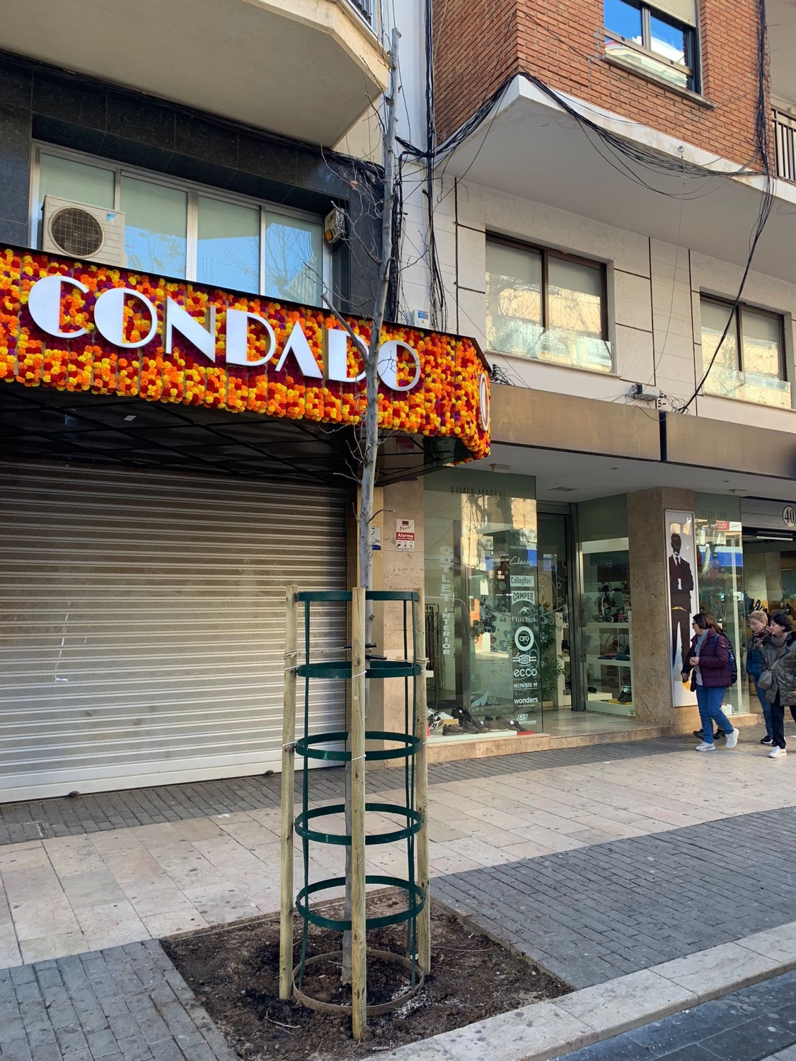 Reposició d'arbres al carrer del Marqués de Campo