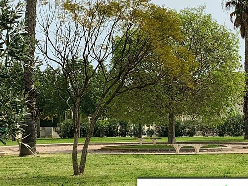 Zona verde Milà