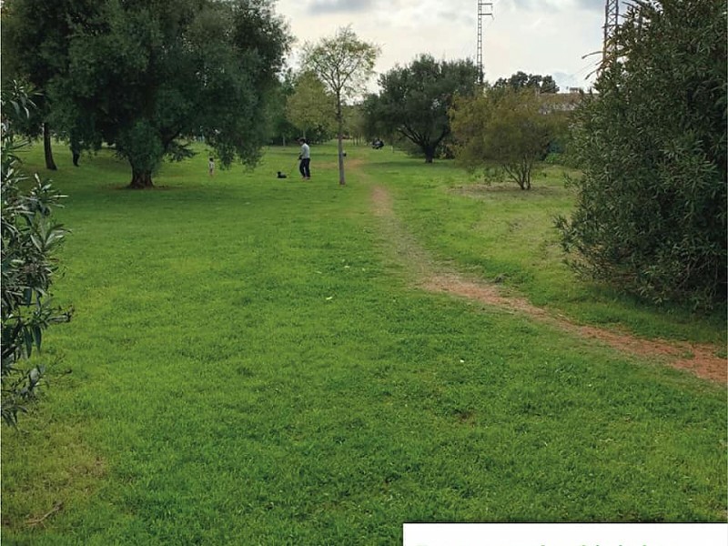 Zona verde Ginjoler