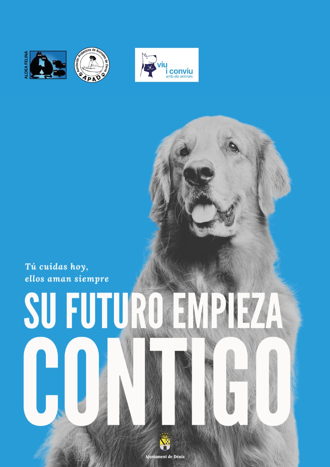 El Ayuntamiento de Dénia lanza una nueva campaña de concienciación en colaboración con las protectoras de animales